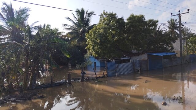 Flooded residential street with palm trees and houses in a tropical area