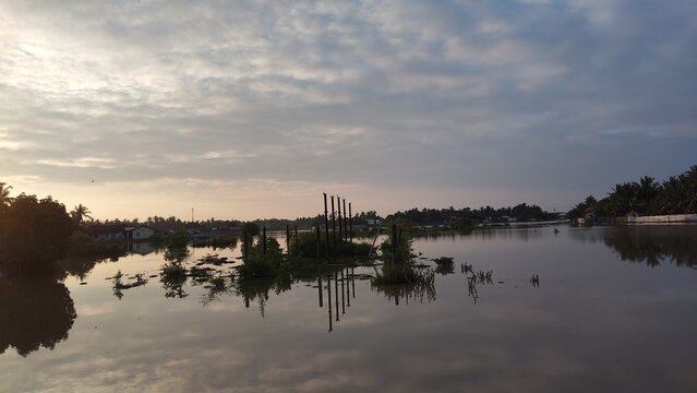 Serene lake at sunset with lily pads and trees