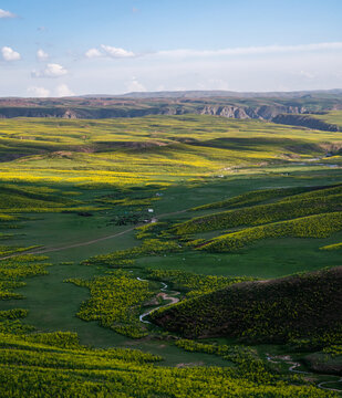 View of Arashan ko'li surrounded by rolling green hills covered in yellow wildflowers with a winding stream flowing through the valley in Pop District, Namangan Region, Uzbekistan.