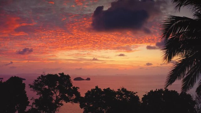 Palm tree silhouette and lush tropical foliage framing a dramatic, colorful sunset sky with scattered clouds over calm ocean and distant islands of Koh Samui, Thailand tropical paradise. Drone shot