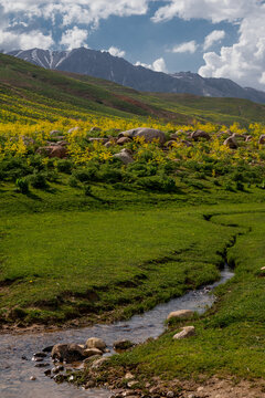 View of Arashan Lake surrounded by lush green hills, vibrant yellow wildflowers, and rocky terrain under a cloudy sky in Pop District, Namangan Region, Uzbekistan.