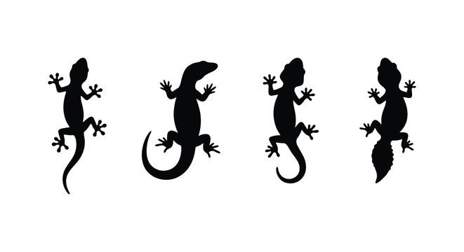 Four lizard silhouettes in varying poses against a white background a minimalist illustration silhouette lizards reptile reptiles gecko