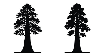Two coniferous tree silhouettes against a white background a simple botanical illustration evergreen pine fir spruce trees flora © APIM02SN