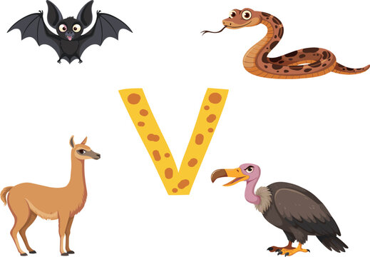 Educational alphabet letter V vector template featuring cute cartoon animals vocabulary icons with vampire bat viper snake vicuna and vulture illustrations.