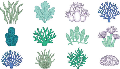 Vintage Hand Drawn Engraving Style Coral Reef Vector Element Set with Seaweed Tube Sponge Sea Anemone Brain Coral and Marine Algae Icons © Mdsahidul