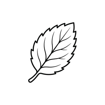 Mint vector black line icon. single mint leaf illustration in flat style design on transparent background isolated.