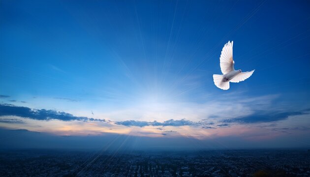 sky funeral dove background peaceful remembrance copy space for text memorial service image