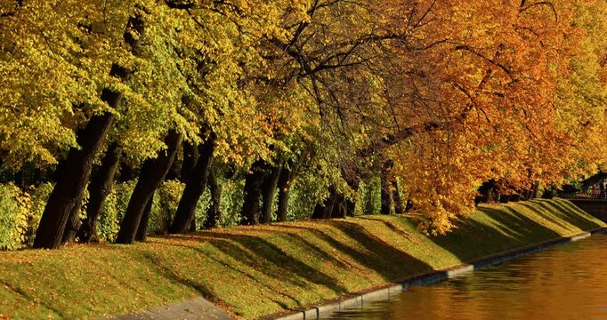 Lebyazhya kanavka embankment to the engineering palace, Trees with yellow leaves of the Summer garden in sunny autumn evening, Russia, Saint Petersburg
