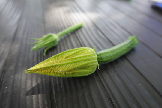 Freshly picked zucchini vegetable with a vibrant green flower bud and stem laying on a dark textured surface