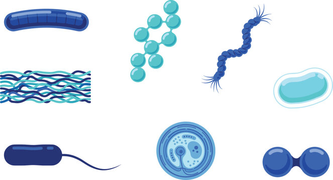 Blue Bacteria Shapes and Microbe Structure Icon Set with Spirillum Bacilli Cocci and Flagella Elements for Biology Education and Science Lab Designs