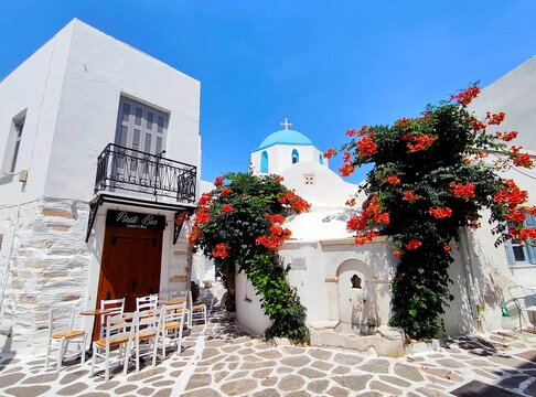 Photo of a charming stone-paved square on the Greek island of Paros, featuring the iconic blue-domed Church of Agia Triada (Holy Trinity), framed by vibrant blooming vines.