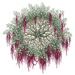 Fototapeta premium Overarching Botanical Canopy Watercolor with Eucalyptus for Elegant Floral Borders