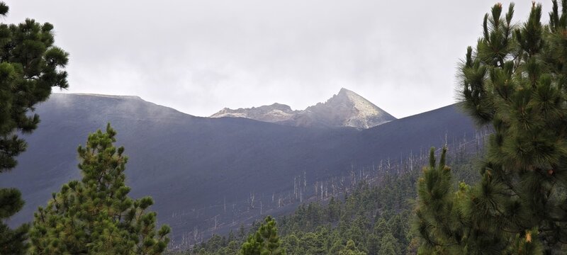 Tajogaite auf La Palma