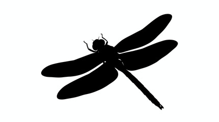 Dragonfly Silhouette On White Background Minimalist Insect Shape © Creator Rima Akter