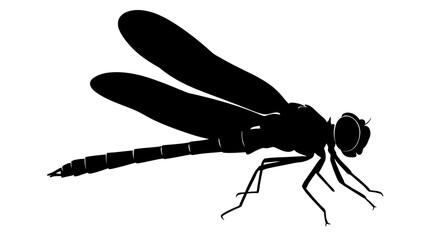 Dragonfly Silhouette Against White Background Minimalist Insect Shape © Creator Rima Akter