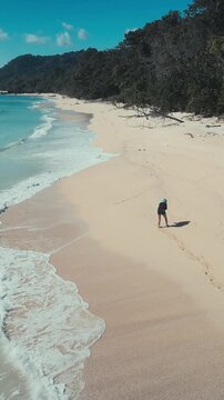 Asian exploring long sandy beach coastline with rolling surf and forested headland, walking tide line as waves recede, panoramic aerial perspective highlighting remote tropical, vertical video
