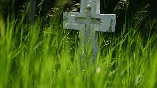 Old white Christian cross gravestone in an overgrown cemetery with long bright green gras moving in the foreground