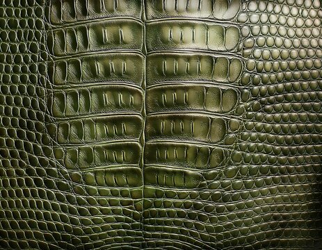 khaki faux croc skin wallpaper texture