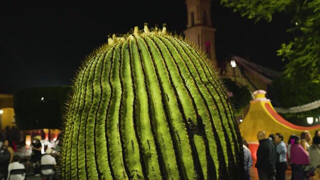 Queretaro Giant Barrel Cactus In Night Plaza 