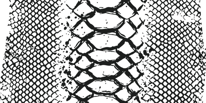 Black and white snake skin texture pattern with detailed scales for fashion and design background