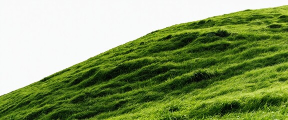 Obraz premium Green grassy hill under soft light, rural landscape background
