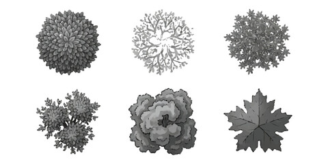 Set of six different tree top view elements for architectural landscape design plans ©  creative  marlia