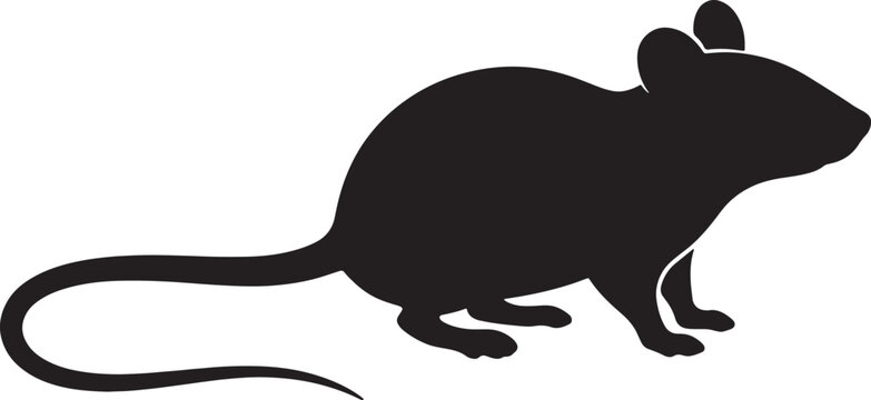 Black silhouette of a mouse facing right, simple flat of a small rodent with a long tail isolated on a plain white background, also transparent background