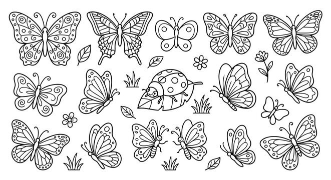 Collection of charming hand-drawn butterflies and a ladybug in a simple line art style