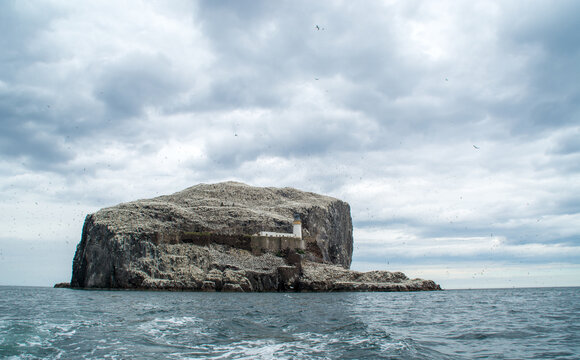 View of the Bass Rock and it's lighthouse from the sea