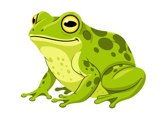Fototapeta premium Cute Green Frog Vector Illustration Graphic Design Element for Nature Projects