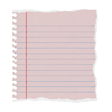 A small square piece of pink lined paper with a torn edge from a spiral notebook for taking notes isolated on transparent background