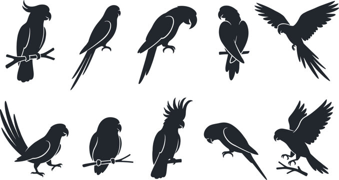 Tropical parrot and cockatoo black silhouette icons set featuring exotic birds perched on branches flying standing and showing beautiful feathers vector graphics
