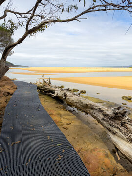 Nature trail with boardwalk along the Palestine Creek in Eden New South Wales Australia