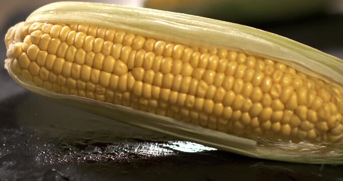 Slow motion capture of corn kernels moving and dropping in action