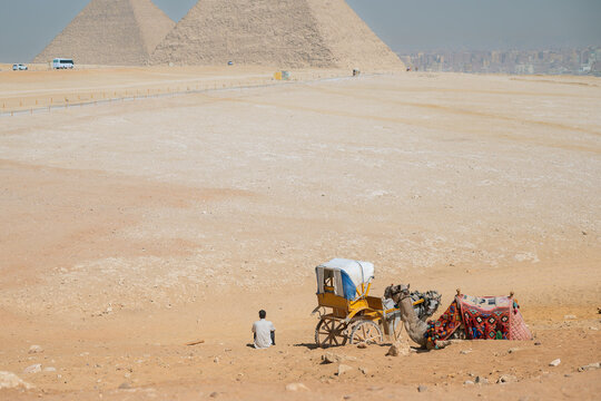 A driver sits alongside his horse carriage and dromedary camel as he views the iconic Great Pyramid of Giza at the Giza Plateau with Cairo, Egypt in the distance.