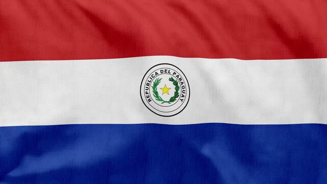 Paraguay Flag Waving in Wind, Seamless Loop Animation