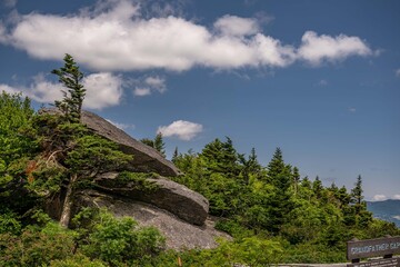 Naklejka premium grandfather mountain, NC