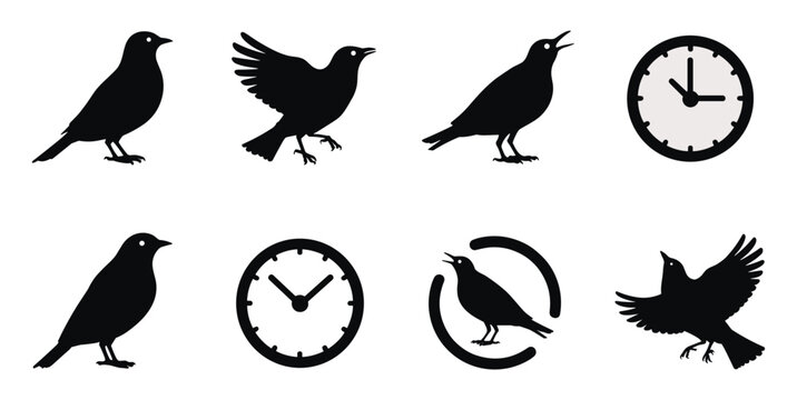 Collection of Black Bird Silhouettes and Clock Icons on White Background