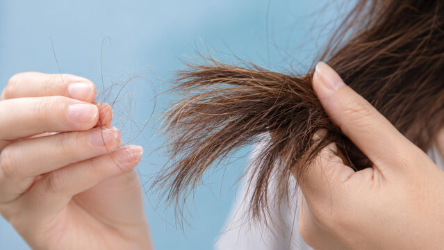 Close up of split hair ends highlighting brittle strands, nutrient deficiency, hormonal imbalance, stress damage and early signs of weakened hair health