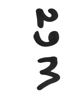 Black handwritten number 293 in a simple marker style isolated on transparent background