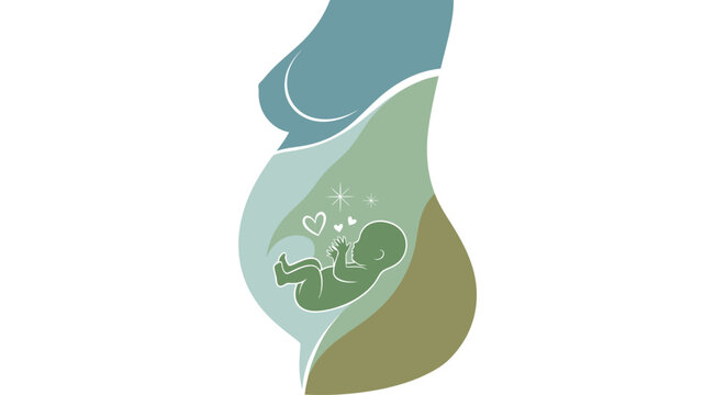 Pregnant belly with baby inside illustration.