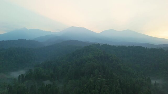 Aerial view of lush green mountains and dense forest under a soft morning sky in West Java, Indonesia.