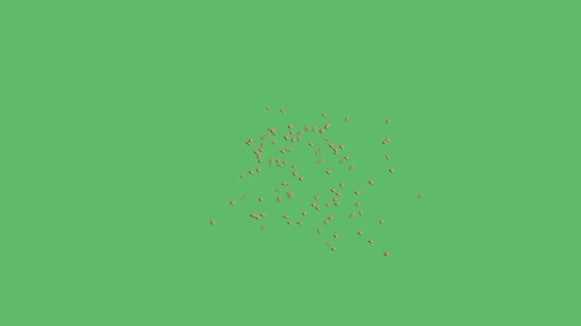 Detailed Macro Shot of a Caddisfly Flying and Hovering Midair with Delicate Wing Movement and Long Antennae Visible on Solid Chroma Key Green Background