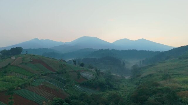 Aerial view of lush green terraced agricultural fields nestled among rolling mountains under a soft morning sky in West Java, Indonesia.