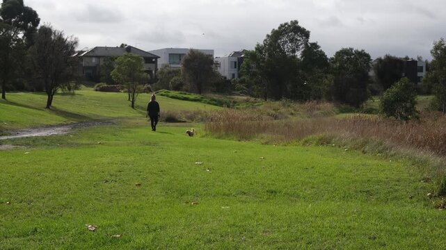 Person walking a small dog through green parkland corridor in Caroline Springs, Melbourne, Australia. Suburban open space. Concept of active lifestyle, wellbeing, leisure and community liveability