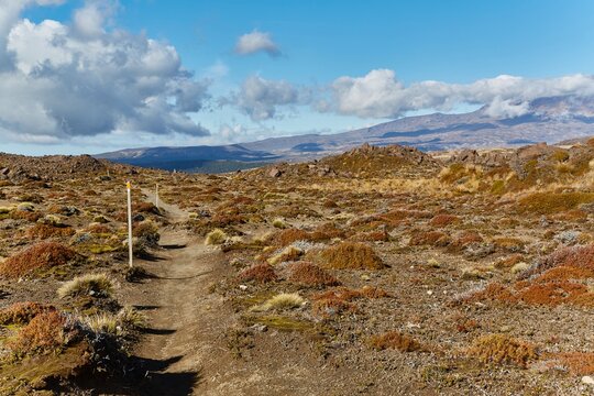 Volcanic Landscape hiking trail Tongariro, New Zealand
