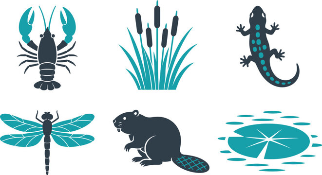 A collection of stylized vector illustration icons depicting various wetland animals and plants in a flat teal and dark gray palette
