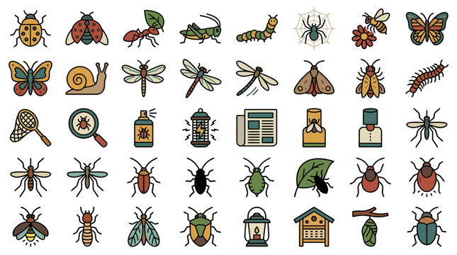 A collection of various insects and bugs are shown in an illustration with a magnifying glass and a house.