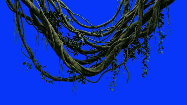 A realistic 3D foliage asset featuring thick, curved tropical liana branches and jungle vines hanging from above. Set over a solid blue screen backdrop, this element is ideal for jungle, safari, or ex