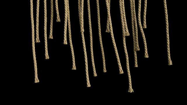 A row of natural jute or hemp ropes dangling downwards into a dark, empty space. The asset is designed as an overlay or framing element for rustic, nautical, or industrial themes.